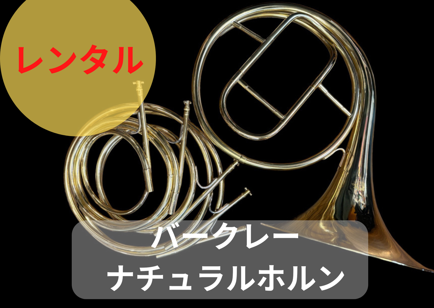レンタル楽器　Berkeley バークレー ナチュラルホルン