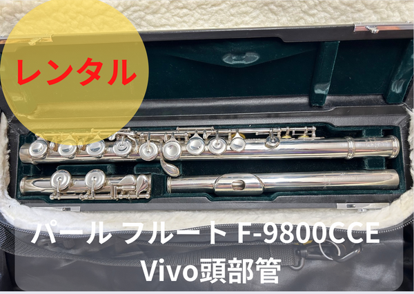 Soleil フルート SFL-1 初心者入門セット〔ソレイユ SFL1 木